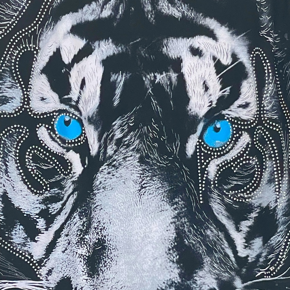 Tiger - Picture 2 of 4